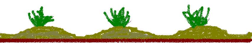 [tuto 11 / image 37]